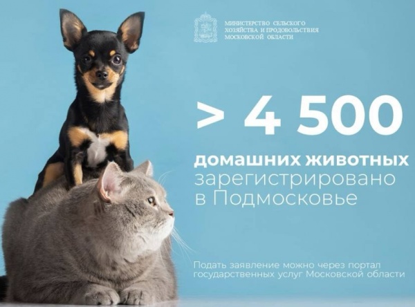 На сегодняшний день в Подмосковье зарегистрировано более 4500 домашних животных