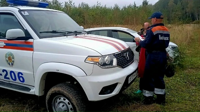 Спасатели вывели из леса трёх заблудившихся в Коломне
