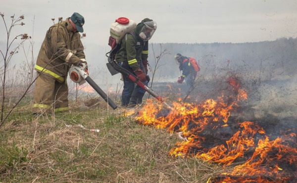 Из-за травяных палов в Зарайске сгорели два дома и пострадала женщина