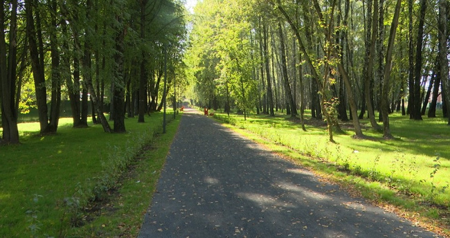 В парке 50-летия Октября заканчиваются работы