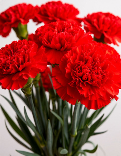 Мемориал погибшим бойцам СВО установлен в Воскресенске