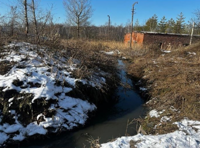 Организатора свалки в Коломне оштрафовали