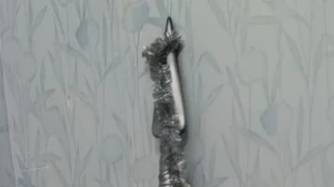 Камеры зафиксировали кражу новогодней атрибутики в Егорьевске