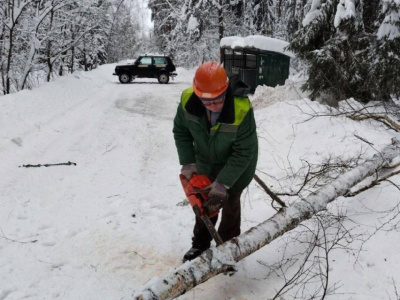 Восстановлено движение к Дёминской после падения дерева