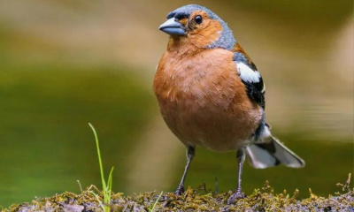 210 тысяч наблюдений