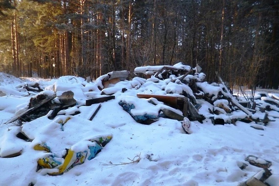 На уборку мусора в лесах в этом году выделили почти 190 миллионов рублей