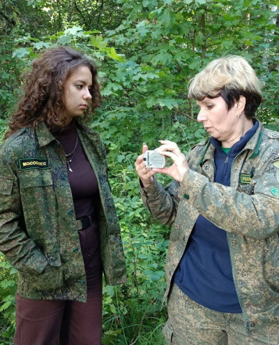 Члены школьного лесничества &quot;Лесной дозор&quot; готовятся к областному слёту