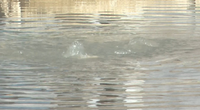 Фонтан на улице Добролюбова бьёт уже четвёртые сутки