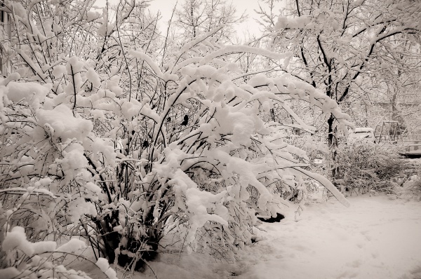 "Роксана" несёт в Коломну аномальное тепло и снег
