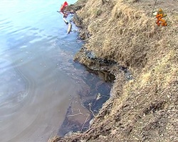Стало известно, кто виновен в появлении нефтяного пятна в Москве-реке
