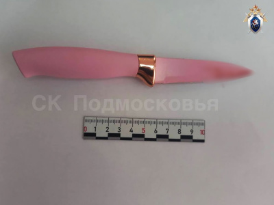 Житель Егорьевска зарезал собутыльника