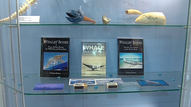 Давным-давно, когда киты жили на суше и имели лапки