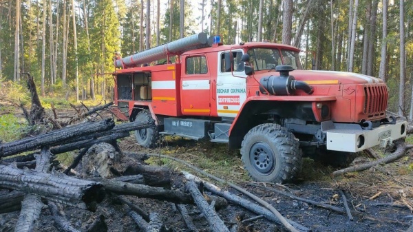 Восемь лесных пожаров ликвидировали в Подмосковье в конце сентября