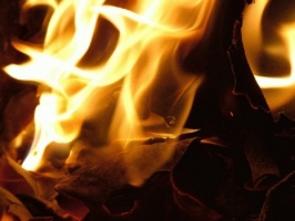 За неделю в Коломне обгорели три автомобиля