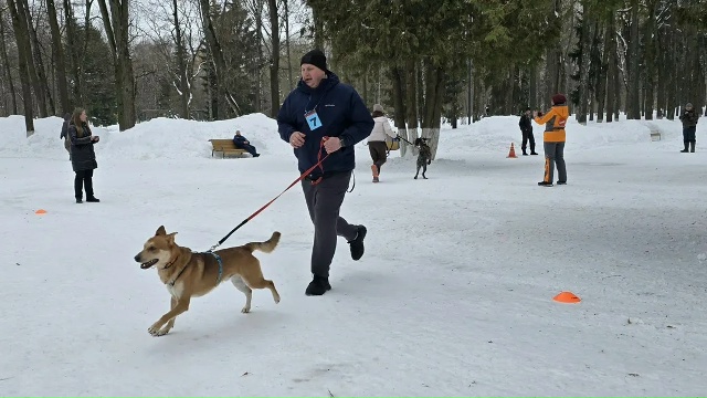 Фестиваль-конкурс "Гав фест" прошёл в Коломне