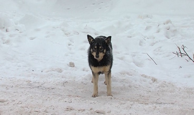 Маленький поступок может спасти жизнь 