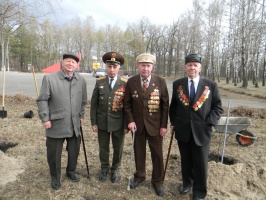 В память о ветеранах войны коломенцы высадили "Лес Победы" 