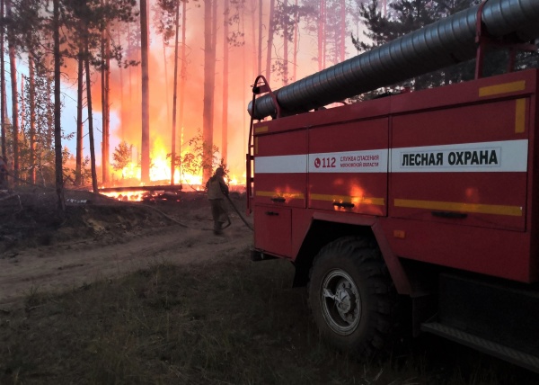 Подмосковье возглавило список регионов по ликвидации лесных пожаров, обнаруженных в первые сутки