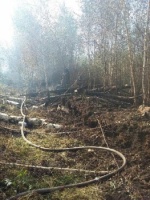 В Шатуре ликвидировали крупный торфяной пожар
