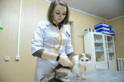 В городском округе Коломна стартует прививочная кампания против бешенства домашних животных