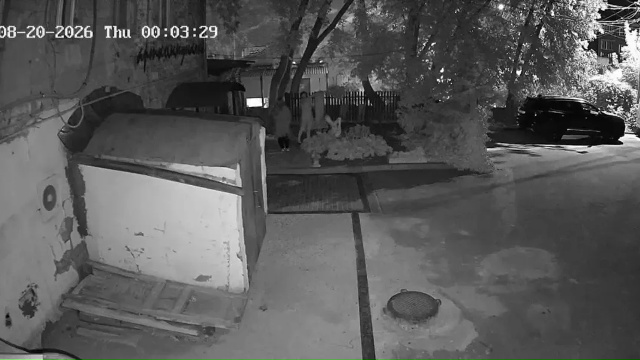 Похитителей цветочных горшков из музея "Арткоммуналка" разыскивают в Коломне