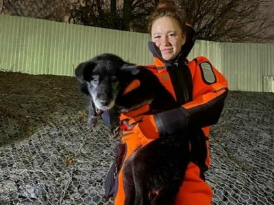 В Коломне спасли собаку