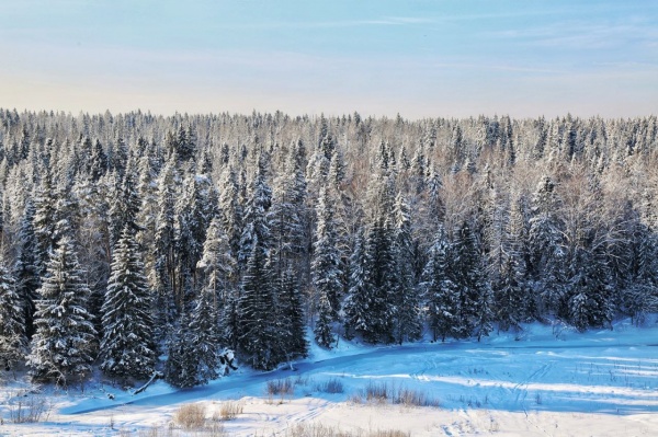 Какое 1 декабря – такая и зима будет?