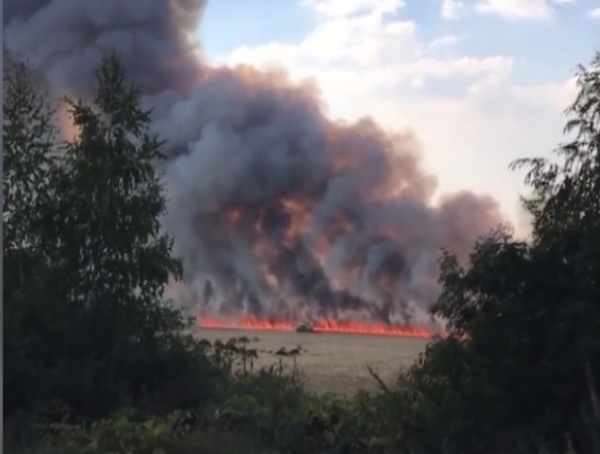 16 августа произошло возгорание на сельскохозяйственном поле близ посёлка Врачово-Горки