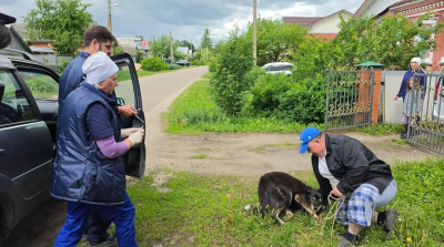 В Луховицах пройдёт вакцинация домашних животных от бешенства