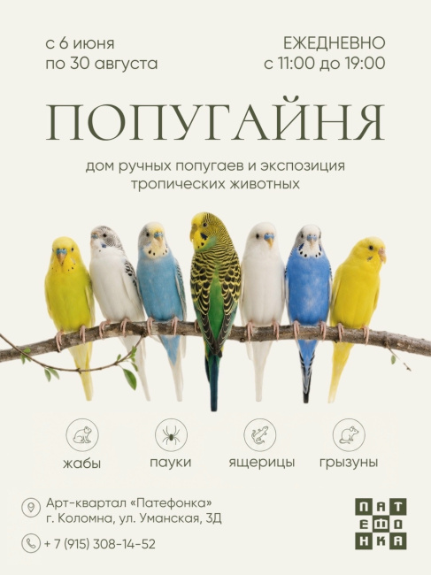 Попугайня