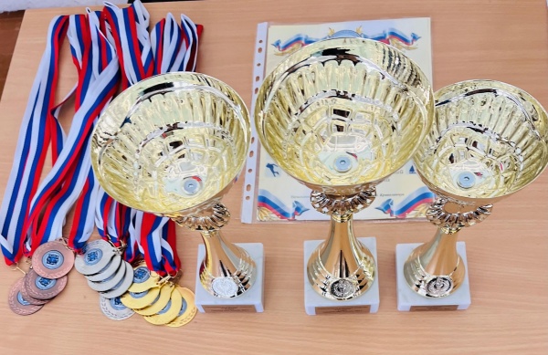Коломенские школьницы соревновались в спортивной гимнастике