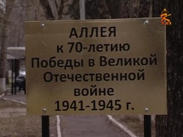 На территории ЦРБ появилась аллея каштанов в честь героев войны