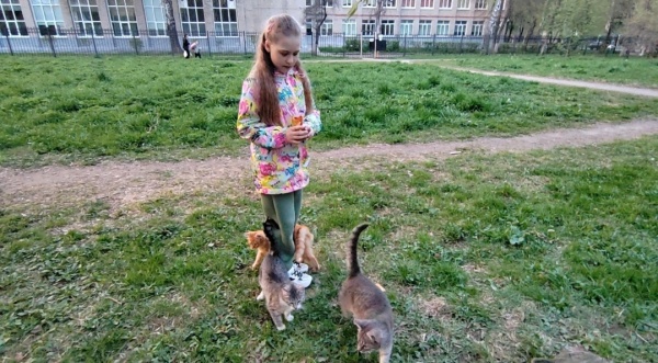 Коломчанку отметили за помощь бездомным кошкам