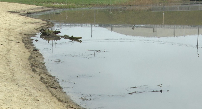 Набережная Коломенки вызывает вопросы