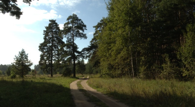 Осенью люди чаще теряются в лесу