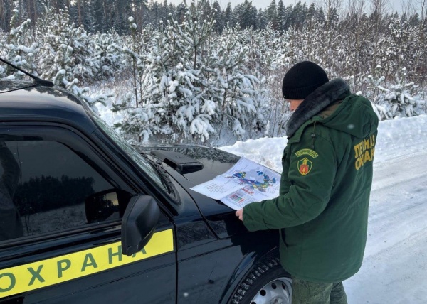 В лесах утвердили маршруты патрулирования на текущий год