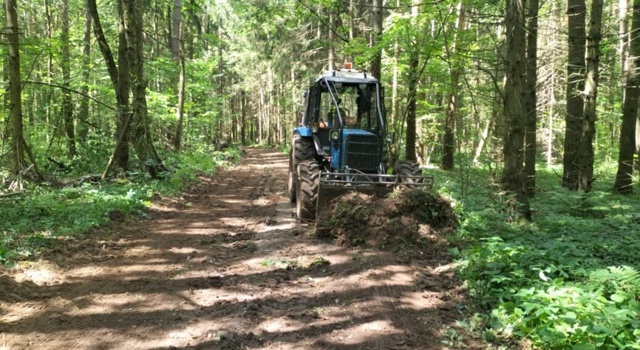 В городском округе Коломна выполнены работы по эксплуатации лесных дорог