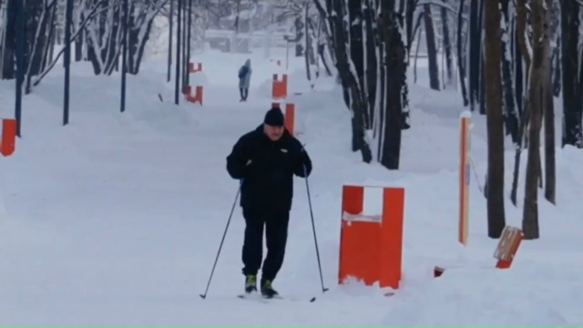 В парке 50-летия Октября лыжня с первых же недель стала самой популярной в муниципалитете