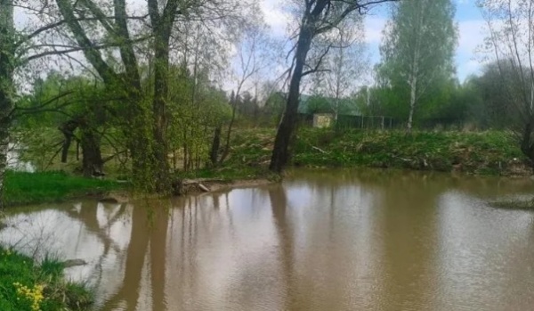 Инспекторы эконадзора проверили пруд в деревне Малышево