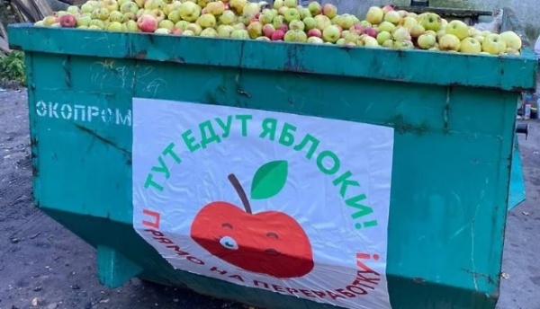 1,2 тонны фруктов и ягод на переработку