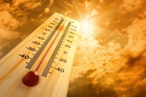 Рекорд жары может быть установлен в московском регионе 15 и 16 июля