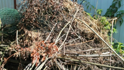 В Коломне выявили изменение русла ручья и отходы в водоохранной зоне