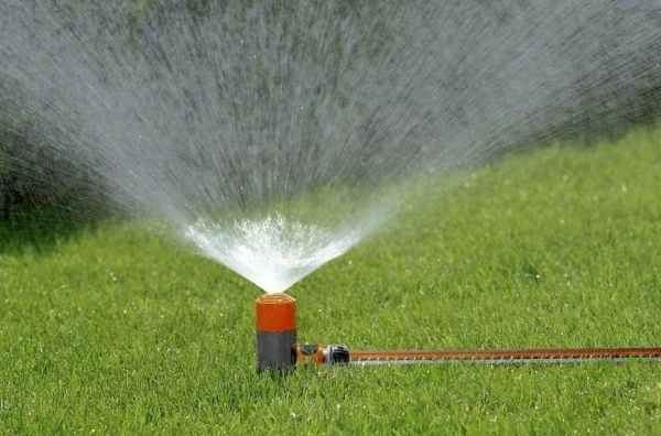 Коломенцев просят снизить расход питьевой воды на полив огородов
