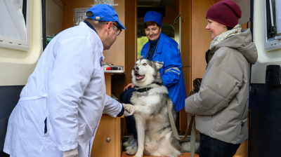 В Воскресенске пройдёт бесплатная вакцинация домашних животных против бешенства