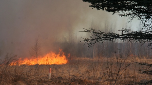 Огнеборцы напомнили о запрете выжигания сухой травы