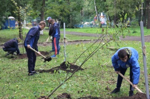 Коломенские футболисты 17 сентября тоже сажали деревья
