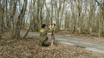 В Ступинском лесничестве наведут порядок