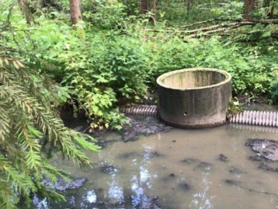 Коломенский винно-коньячный завод оштрафован за загрязнение земель