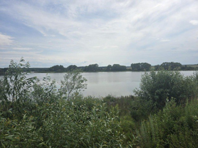 В этом году начнут чистить два коломенских водоёма