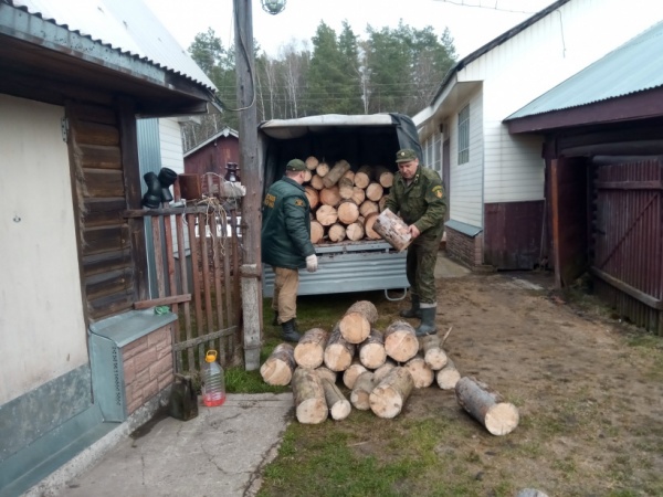 Егорьевские лесничие помогли доставить дрова ветерану войны